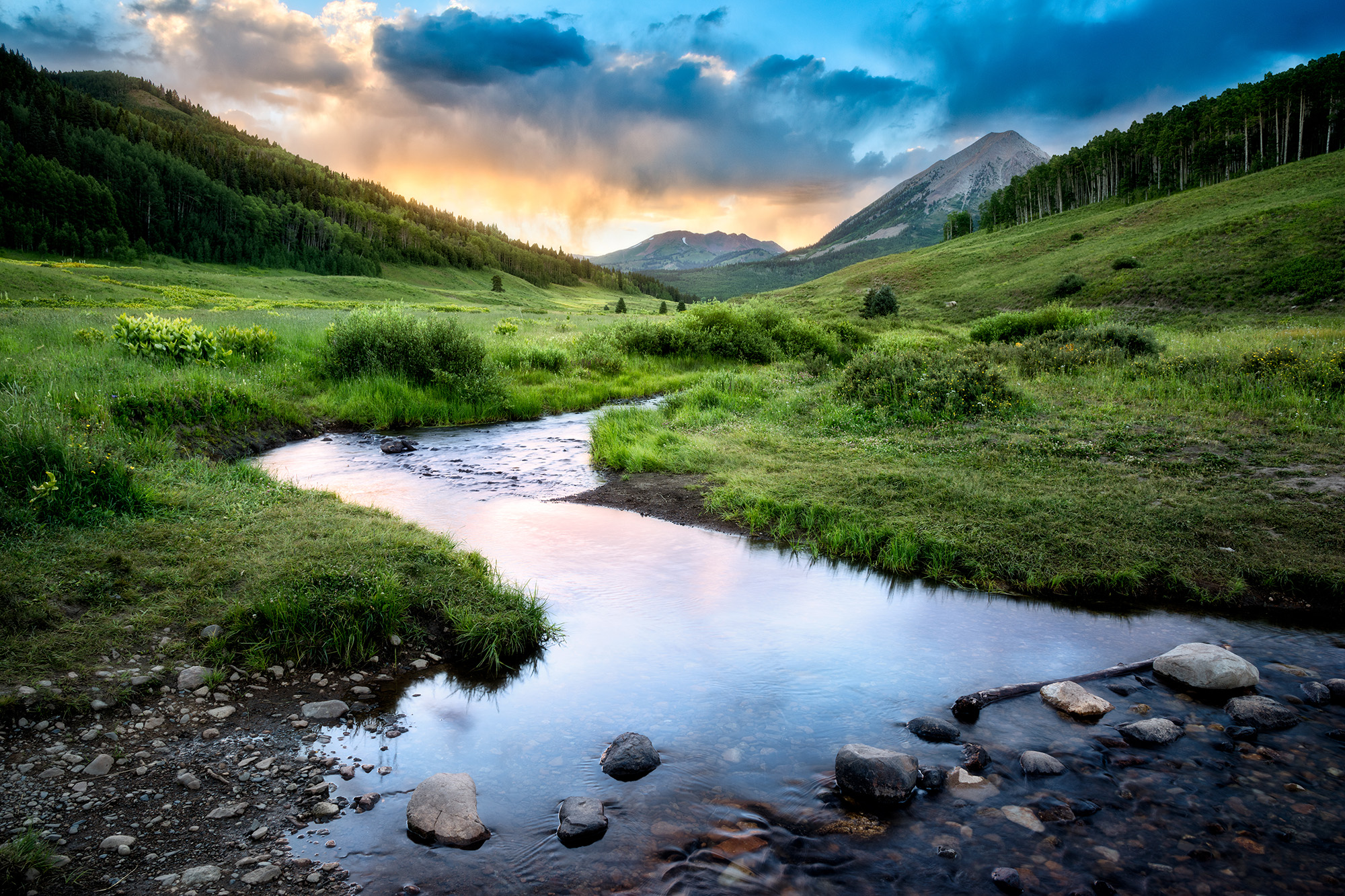 Christian Financial Advisors in Montrose, CO